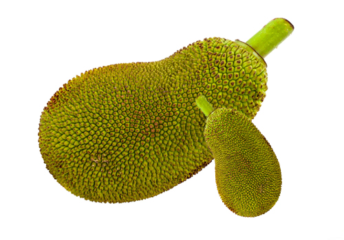 Top Jackfruit Exporters in alappuzha kerala